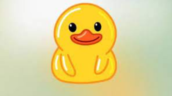ایردراپ DuckCoin چیست
