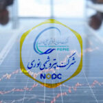 سود نقدی و زمان پرداخت سود نوری