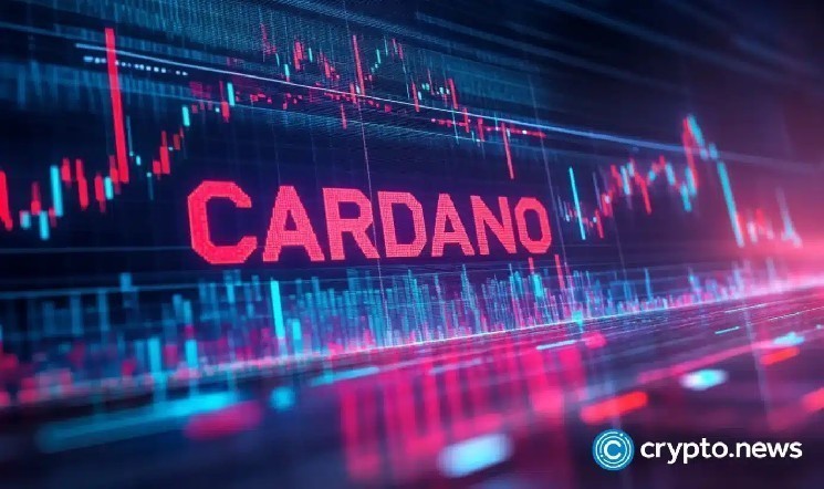 واکنش هوسکینسون به اتهامات جنجالی؛ آیا ADA از حمایت بازار برخوردار است؟