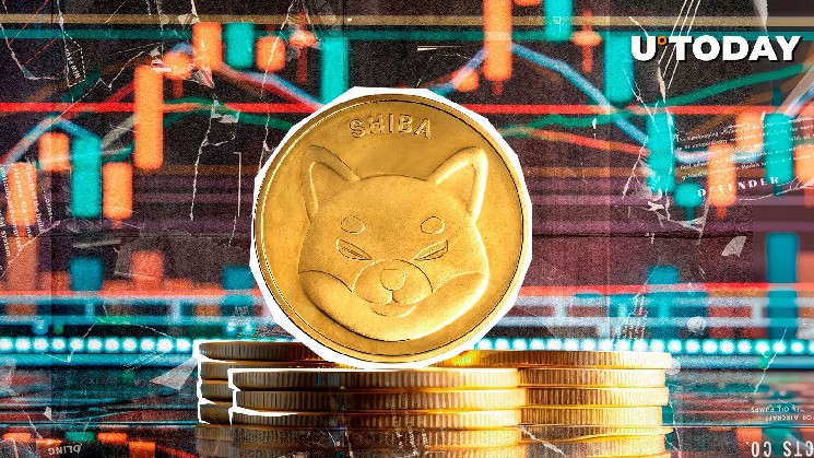 هشدار تحلیلگران: کاهش حجم معاملات Shiba Inu ممکن است به وارونگی قیمت منجر شود
