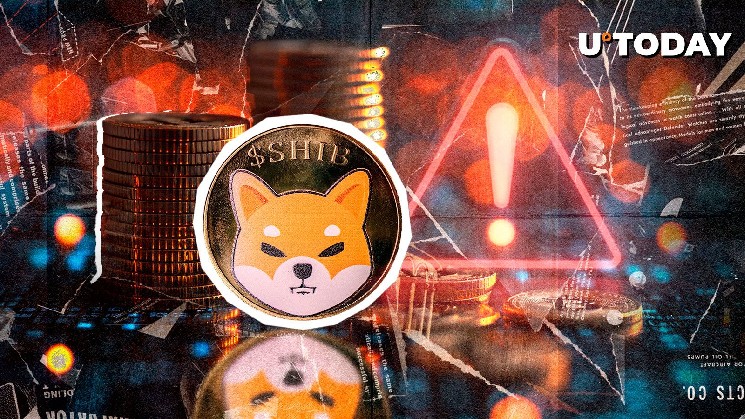 هشدار جدی مدیر بازاریابی Shiba Inu درباره موج گسترده کلاهبرداری‌ها