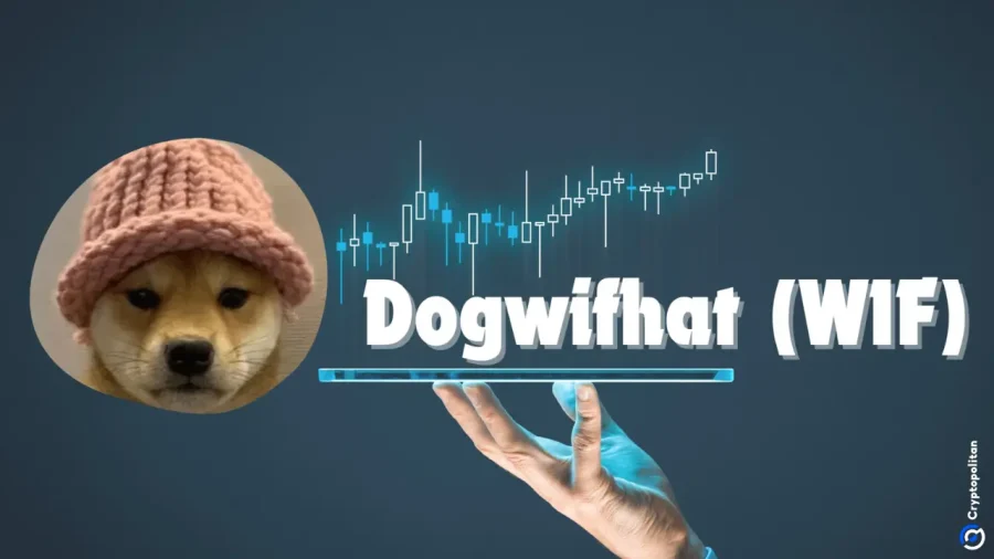 رشد احتمالی Dogwifhat تا سال ۲۰۳۱؛ آیا این میم‌کوین جدید به ۱۰ دلار می‌رسد؟