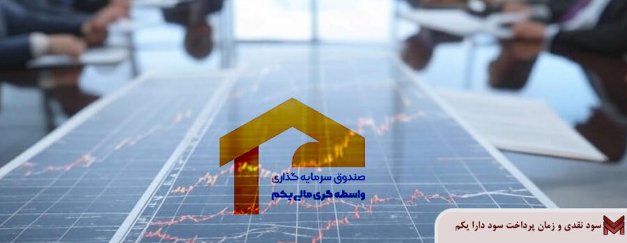 سود نقدی و زمان پرداخت سود دارا یکم