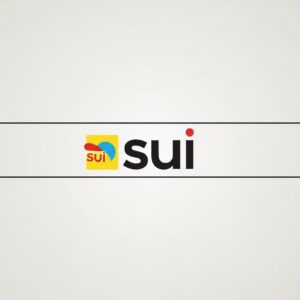چرا سویی (SUI) می‌تواند سولانای جدید این چرخه باشد؟