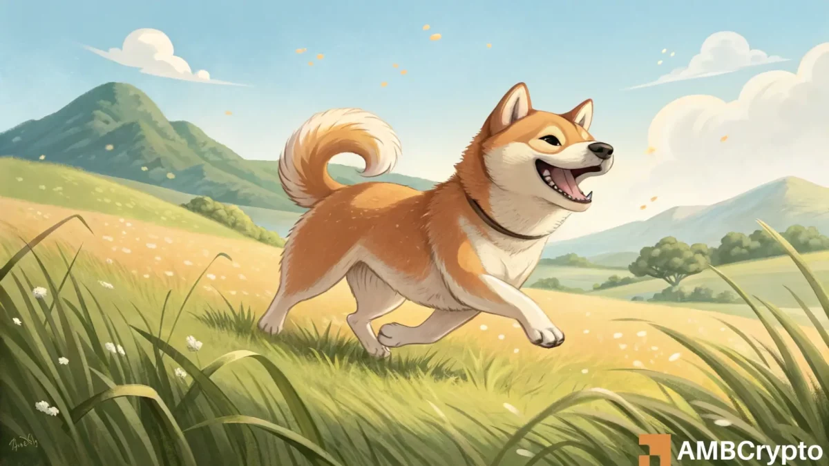 ارز دیجیتال Bonk تحت فشار تقاضای قوی قرار گرفتند: آیا حرکت بعدی فراتر از 0.000025 دلار است؟