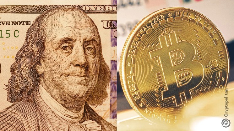 واقعیت تلخ بیت‌کوین برای سرمایه‌گذاران کوچک؛ چرا همه چیز رویایی نیست