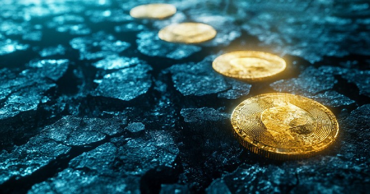 10 برابر سود از Launchpads: چالش‌ها و مشکلات پشت پرده در ارزیابی‌های شیب دار و تخصیص‌های مبهم