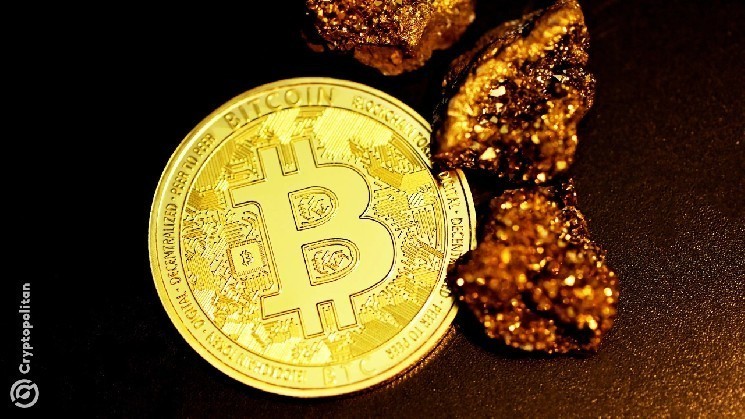 استخر انفرادی CKPOOL در استرالیا: شروع جدید با هدف کاهش تأخیر و افزایش عملکرد