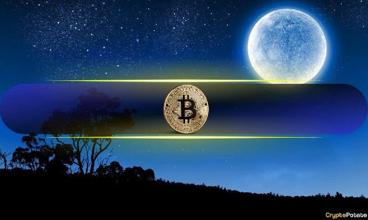 روند صعودی بی‌سابقه بیت کوین: آیا 1 میلیون دلار در سال 2028 ممکن است؟