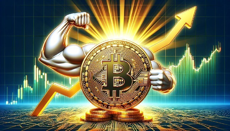 هشدار مهم برای بیت‌کوین؛ خریداران وارد می‌شوند و قیمت سبز می‌ماند!
