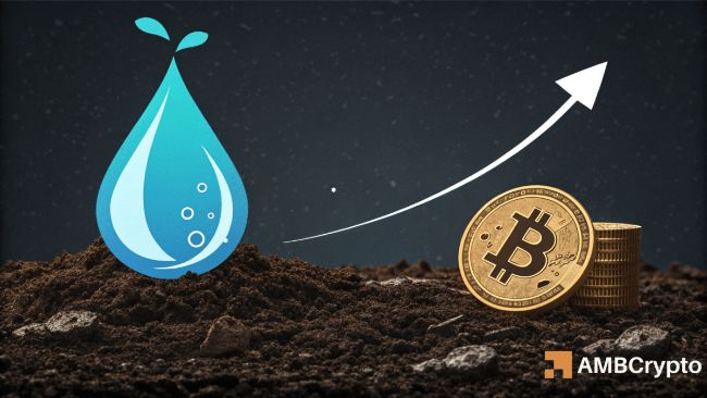 حجم معاملات سویی با رکورد تاریخی از مجموع AVAX، HYPE و NEAR پیشی گرفت