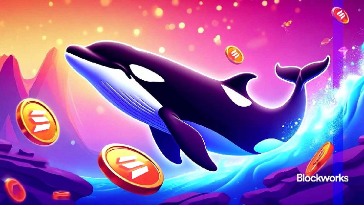 رقابت داغ در بازار سولانا: آیا Wavebreak اورکا می‌تواند بر ربات‌ها غلبه کند؟