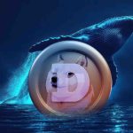 نهنگ‌ها در حال خرید DOGE: آیا قیمت دوج کوین به 1 دلار خواهد رسید؟