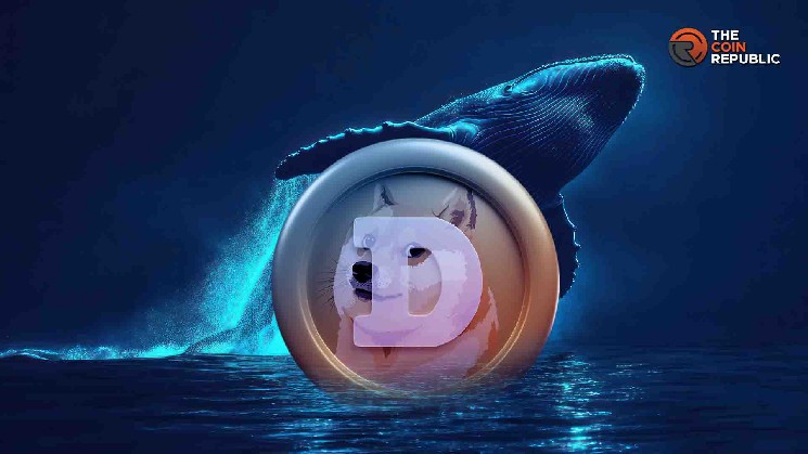 نهنگ‌ها در حال خرید DOGE: آیا قیمت دوج کوین به 1 دلار خواهد رسید؟