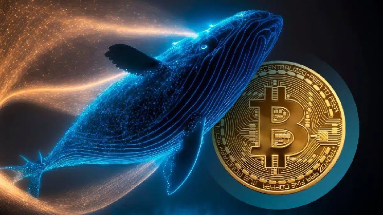نهنگ بیت‌کوین رکوردشکنی می‌کند؛ 2.3 میلیارد دلار بیت‌کوین به Galaxy Digital منتقل شد