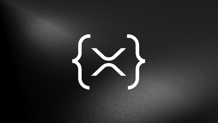 شتاب‌دهنده XRPL Cohort 6: آغاز برنامه ۱۲ هفته‌ای با حضور ۹ استارتاپ نوآور در سنگاپور