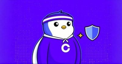 رشد چشمگیر توکن Pengu پس از تغییرات استراتژیک Coinbase و NFT پنگوئن‌ها