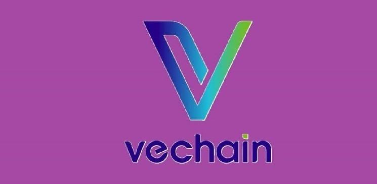 اولین پل زنجیره‌ای متقاطع Vechain راه‌اندازی شد: گامی بزرگ به سوی همکاری بیشتر و پذیرش جهانی