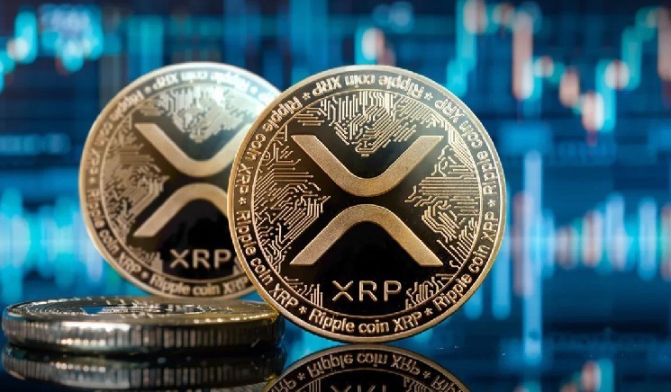 مدیرعامل شرکت Canary Capital: ریپل به زودی سهم بیشتری از بازار خواهد گرفت!