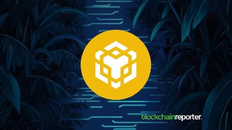 عبور BNB از مرز ۸۰۰ دلار همزمان با شروع فصل جدید آلت‌کوین‌ها
