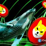 نهنگ‌ها 700 میلیارد شیبا خریداری می‌کنند، آیا قیمت به 0.000030 دلار خواهد رسید؟
