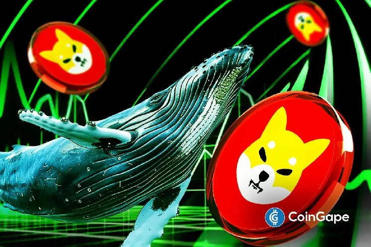 نهنگ‌ها 700 میلیارد شیبا خریداری می‌کنند، آیا قیمت به 0.000030 دلار خواهد رسید؟