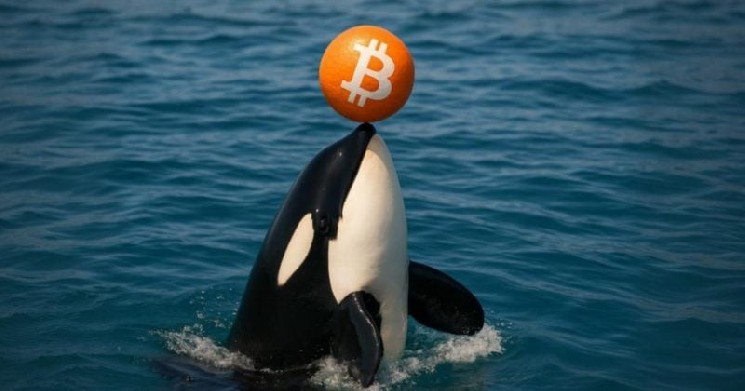 انتقال ۳۷۸۲ بیت کوین توسط گلکسی دیجیتال؛ نوسانات جدید در بازار ارز دیجیتال