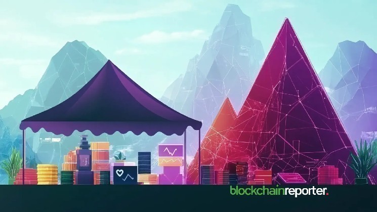 همکاری BONK و FARTCOIN؛ میم کوین‌هایی که از نظر ارزش‌گذاری در پایین‌ترین سطح قرار دارند!