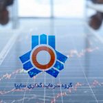 سود نقدی و زمان پرداخت سود وساپا