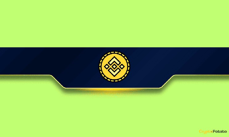 سرمایه‌گذاری‌های کلان در BNB: شرکت‌ها به خرید 500 میلیون دلاری این سکه روی آورده‌اند!
