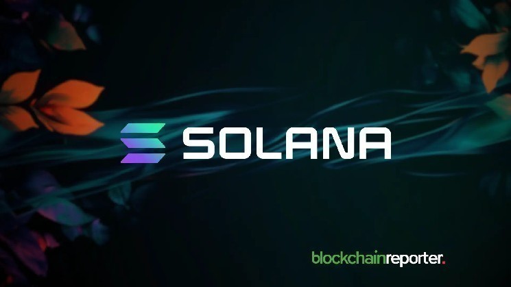 تلاش برای بازسازی اعتماد در دنیای میم‌کوین‌ها؛ سولانا با Gohome و TrustyFi هم‌مسیر شد