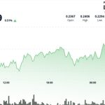 نهنگ 200 میلیون دلار دوج کوین خرید! قیمت آن 3٪ افزایش یافت!