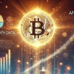 آیا بیت‌کوین به پایداری می‌رسد؟ تحلیل فعالیت‌های نهنگ‌ها و تاثیر آن بر قیمت ارز دیجیتال