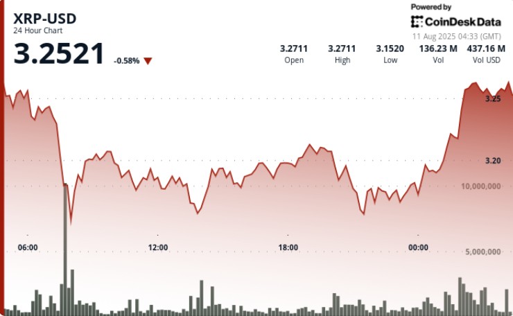 پس از پیروزی تاریخی ریپل در برابر SEC: قیمت به بالای 3.25 دلار رسید!
