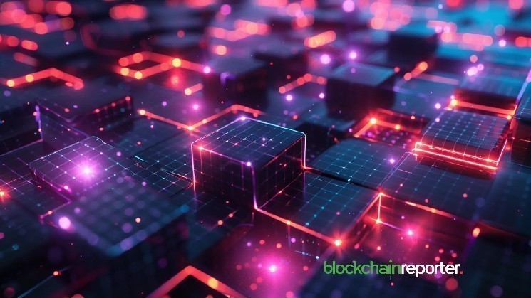 همکاری Fomoin و AI Stable Partners برای تسریع توسعه وب 3.0 و بلاک‌چین