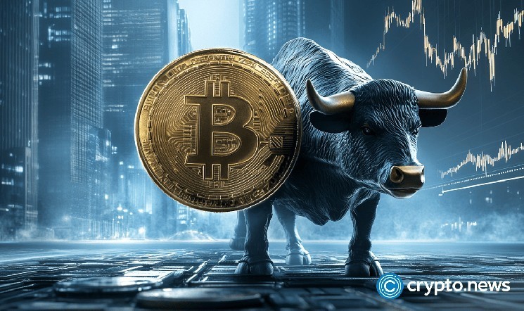 خط حمایت بحرانی در 119،000 دلار؛ بیت کوین به دنبال رکورد جدید در کانال صعودی خود