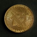 مدیر عامل Canary Capital: پیش‌بینی افزایش قیمت بیت‌کوین قبل از ورود به بازار