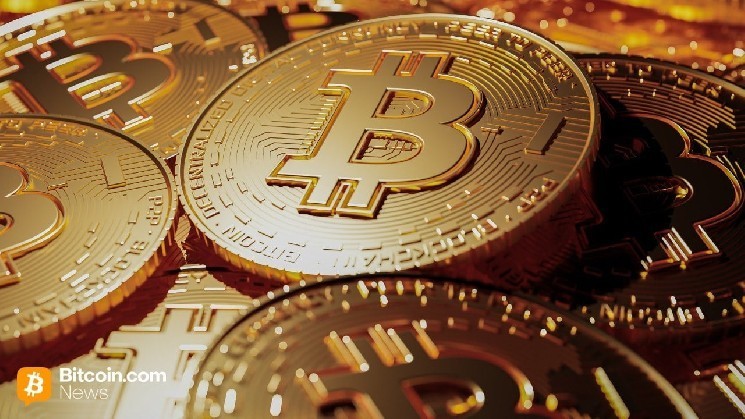 کتی وود: بیت‌کوین در مقایسه با طلا بهترین انتخاب برای سرمایه‌گذاری است