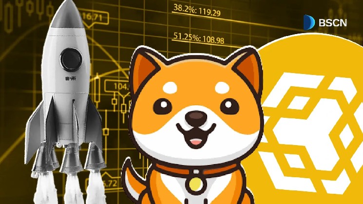 راه‌اندازی تجارت دائمی BabyDoge در زنجیره BNB: دسترسی به قراردادهای اهرمی