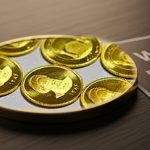 آیا پیش فروش سکه قرعه کشی دارد؟