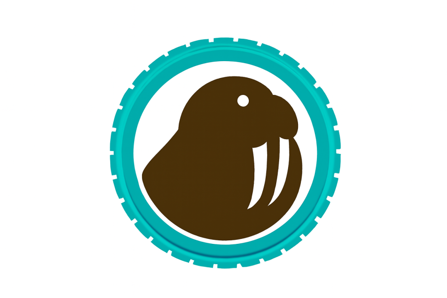 ارز دیجیتال والروس (Walrus) چیست؟