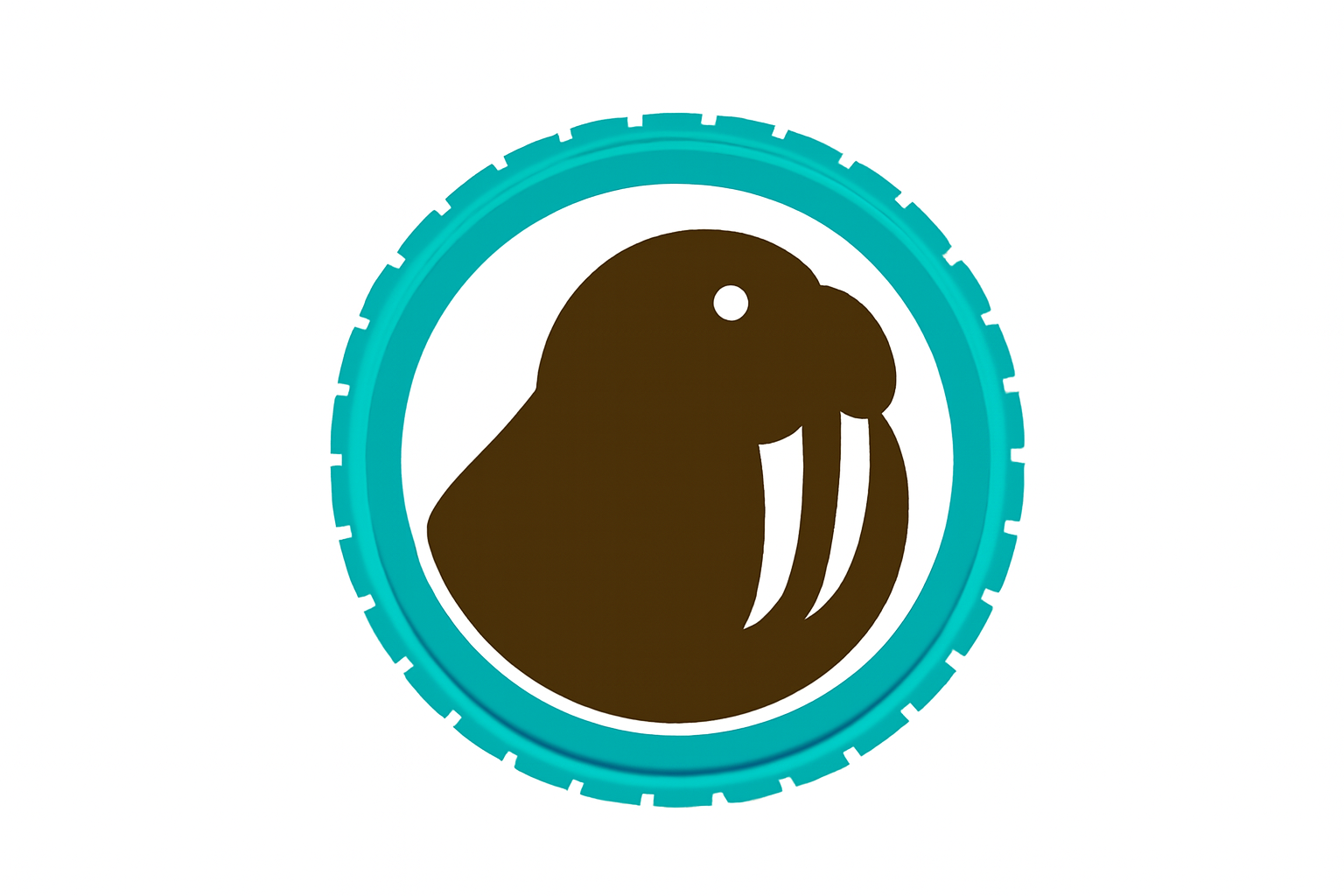 ارز دیجیتال والروس (Walrus) چیست؟