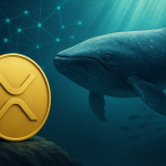 ۱۰ نهنگ برتر، کنترل‌کننده ۶۸٪ ریپل؛ زنگ خطر تمرکز مالکیت در شبکه XRP
