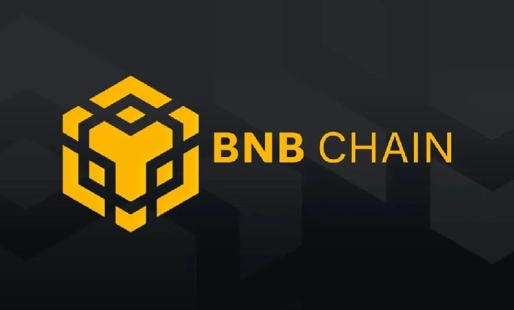 بروزرسانی جدید در زنجیره BNB: هزینه تراکنش به 0.05 GWEI کاهش یافت