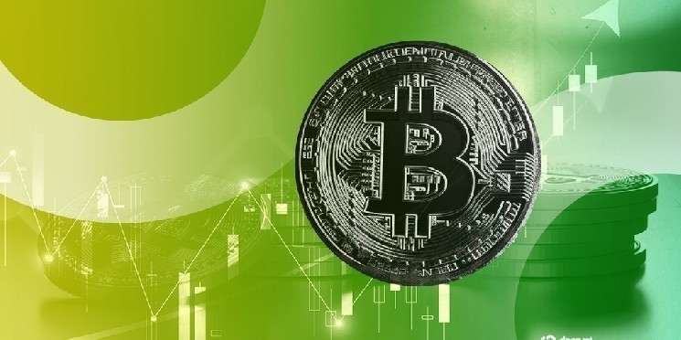 تحلیلگران به چرخه بیت‌کوین و پذیرش ارزهای دیجیتال در جامعه توجه دارند