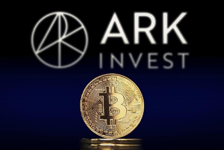 گزارش Ark Invest: اصول بیت‌کوین همچنان قوی و پایدار است
