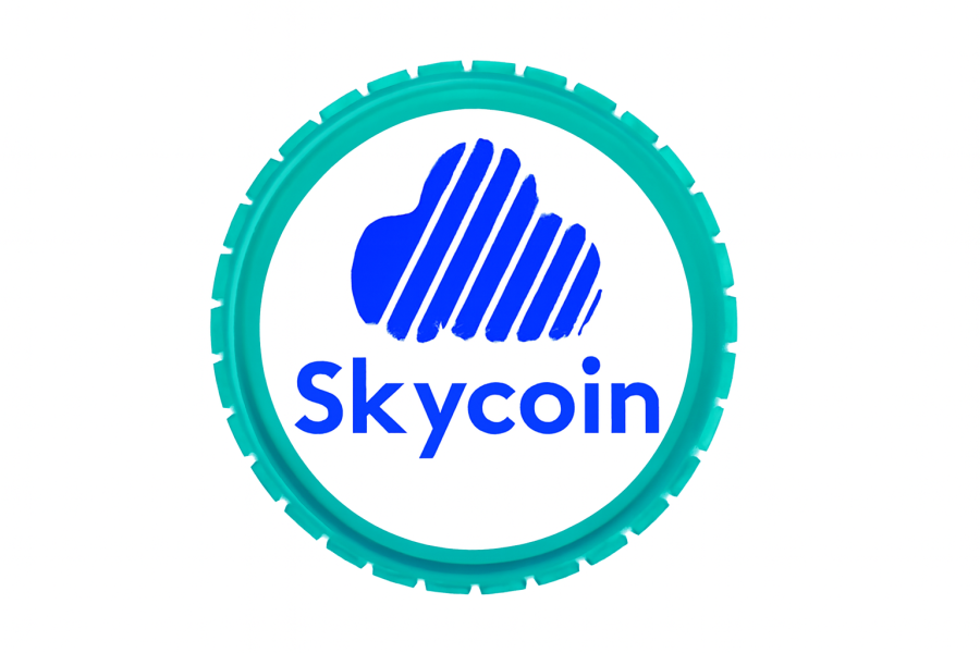 ارز دیجیتال اسکای کوین (Skycoin) چیست؟