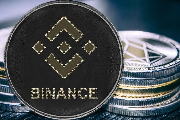 زندگی Binance: ارزش بازار Meme Coin به 484 میلیون دلار تثبیت شد