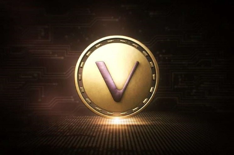 توانایی VeChain در مقابل نوسانات بازار، بنیان‌های قوی این پروژه را نشان می‌دهد