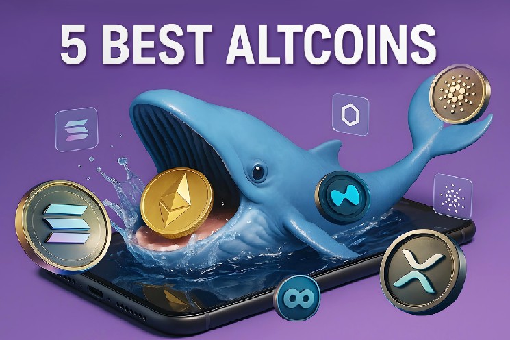 افزایش خرید نهنگ‌های اتریوم هم‌زمان با افت بازار؛ بیت‌ماین ۴۱۷ میلیون دلار ETH جمع‌آوری کرد